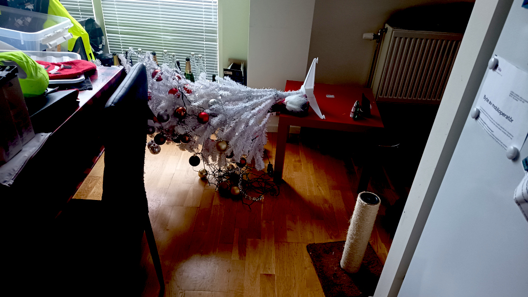 December 2025 IMG 20251215 091015