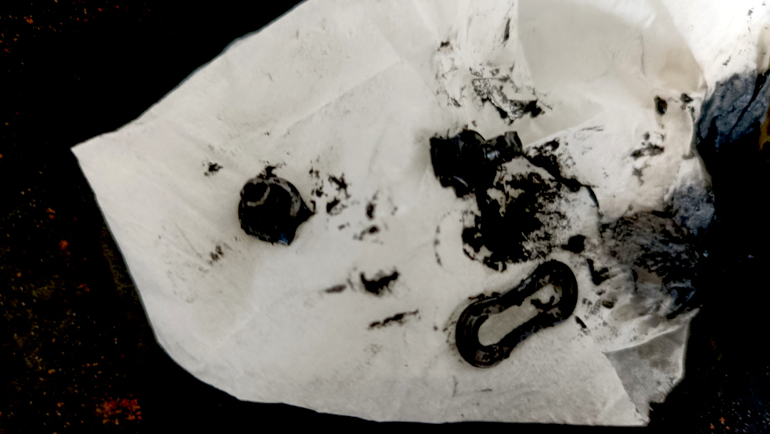 July 2025 IMG 20250714 174049