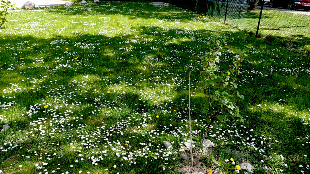 May 2025 IMG 20250516 123804