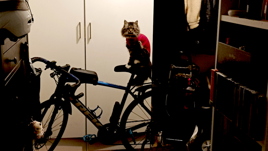 May 2025 IMG 20250517 182017