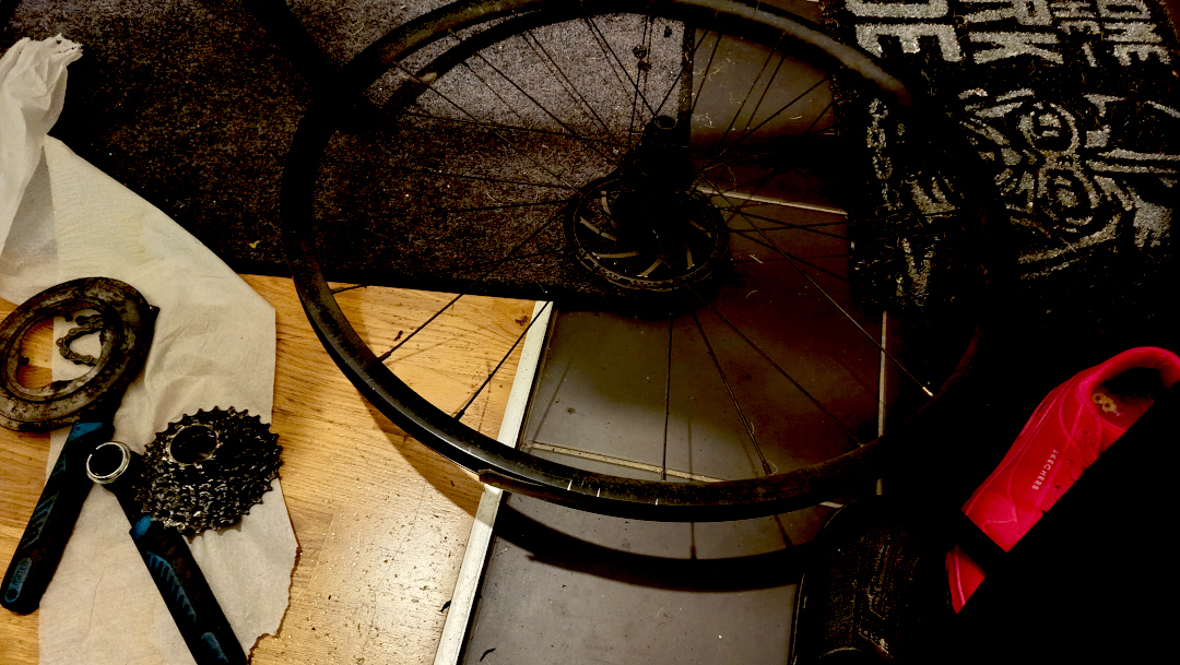 October 2025 IMG 20251005 183100