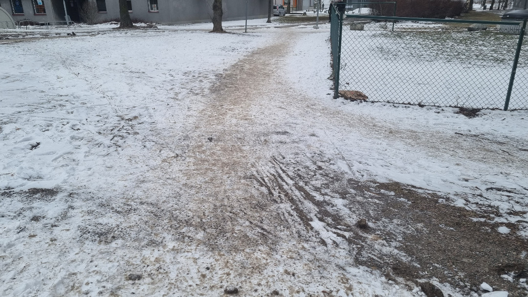 Caminho com neve derretida e suja.