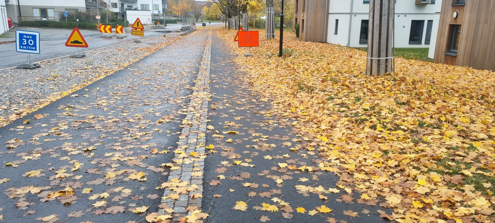 Via de bicicleta coberta por folhas e com várias placas de obras na rua.